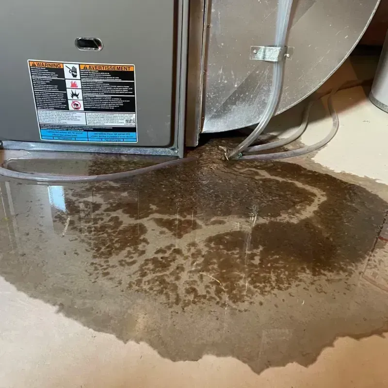 Appliance Leak Cleanup in Beeville, TX